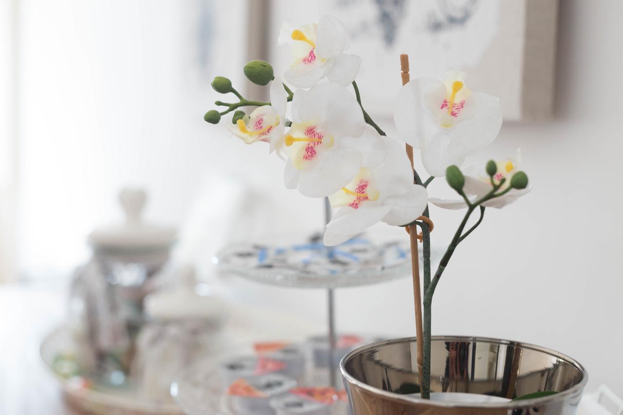 Capital Navona Luxury Apartment Casa E Appartamento Per Vacanze ローマ エクステリア 写真